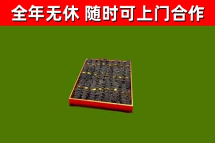 前郭尔罗斯回收海参